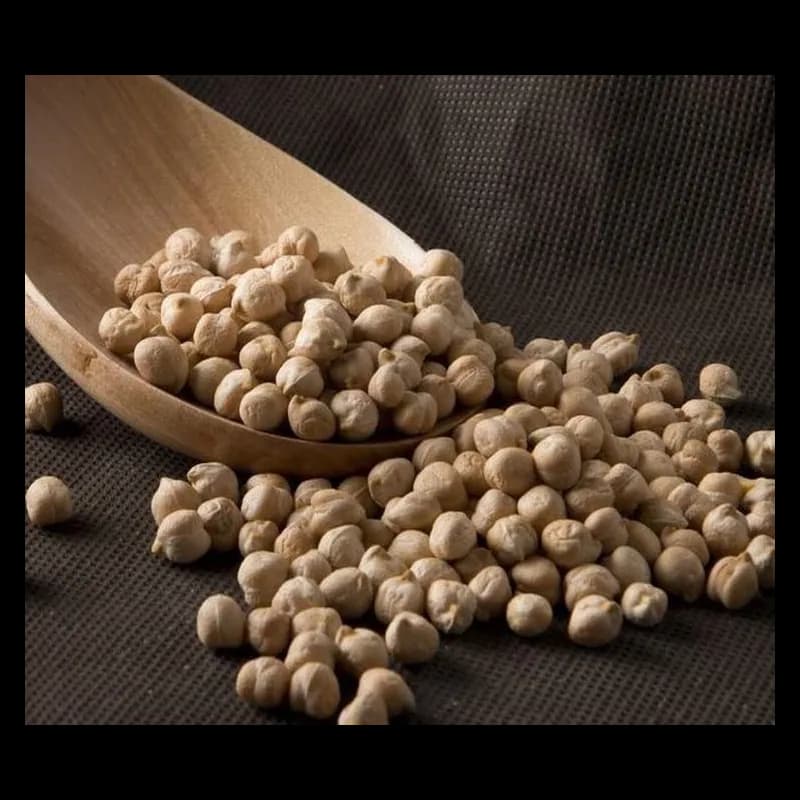 Garbanzo Pedrosillano