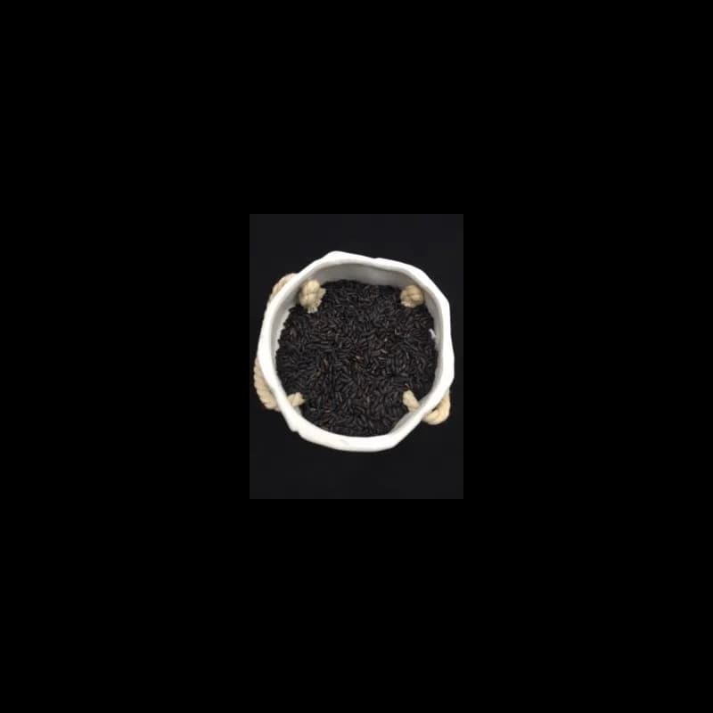 Arroz Negro EspaÑol