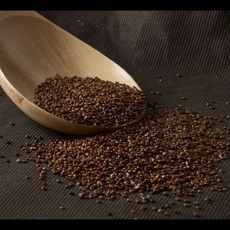 Quinoa Roja Eco