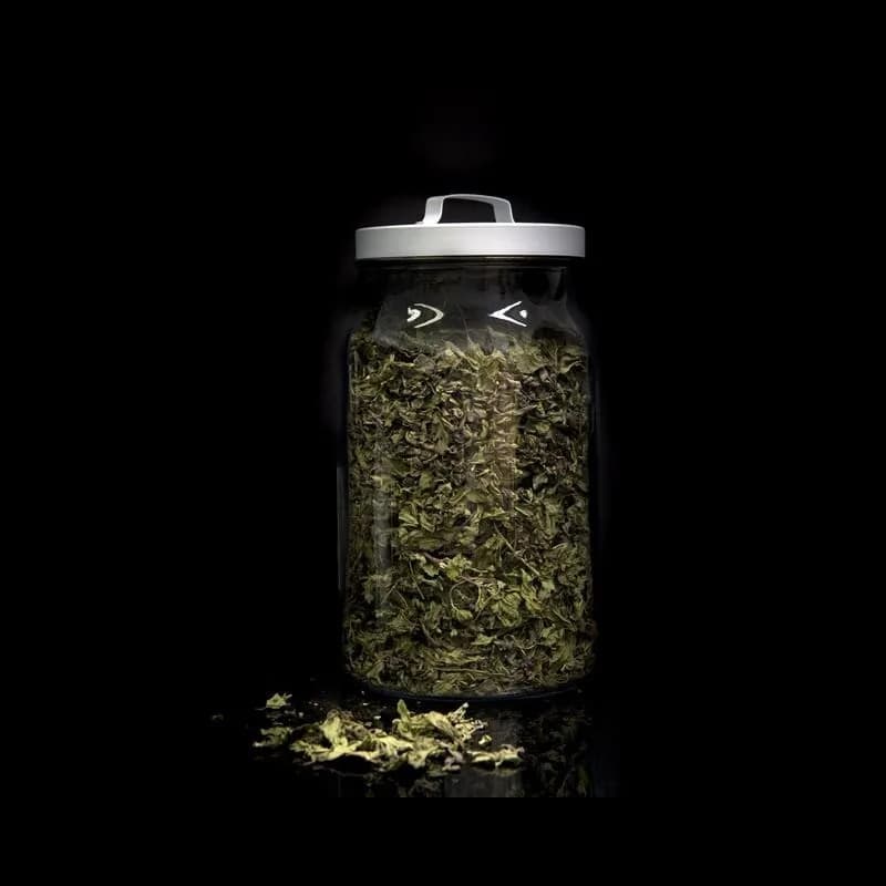 Te Verde Gunpowder