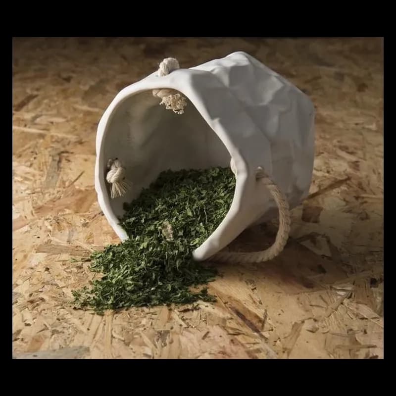 Perejil En Hoja
