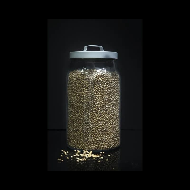 Cilantro En Grano