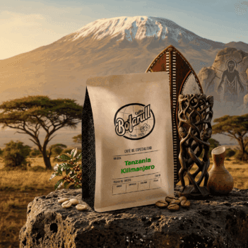 Cafe 100% Arabico Tanzania Kilimanjaro