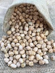 Garbanzo Lechoso