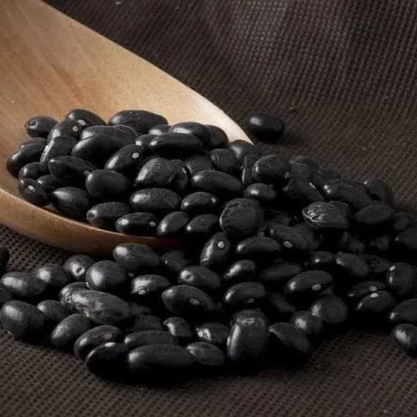 Alubia Negra Frijol