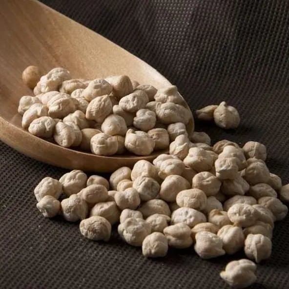 Garbanzo Castellano