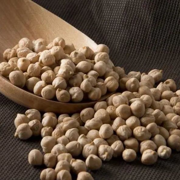 Garbanzo Pedrosillano