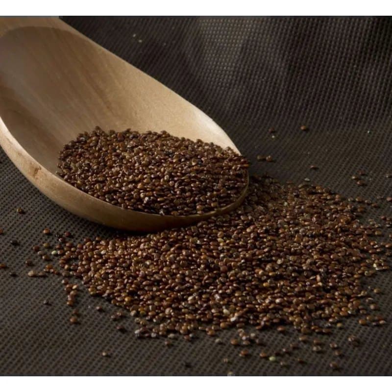 Quinoa Roja Eco