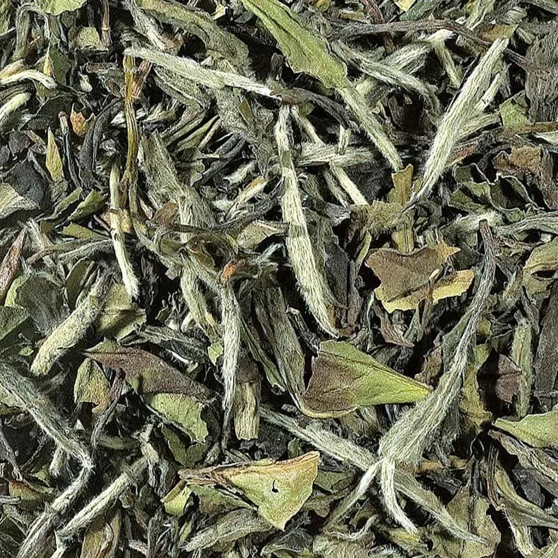 Te Blanco Pai Mu Tan